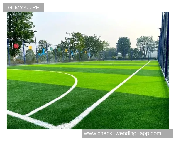 广州足球五人场的魅力与发展探索:打造城市足球文化新高地 广州足球五人场的魅力与发展探索:打造城市足球文化新高地